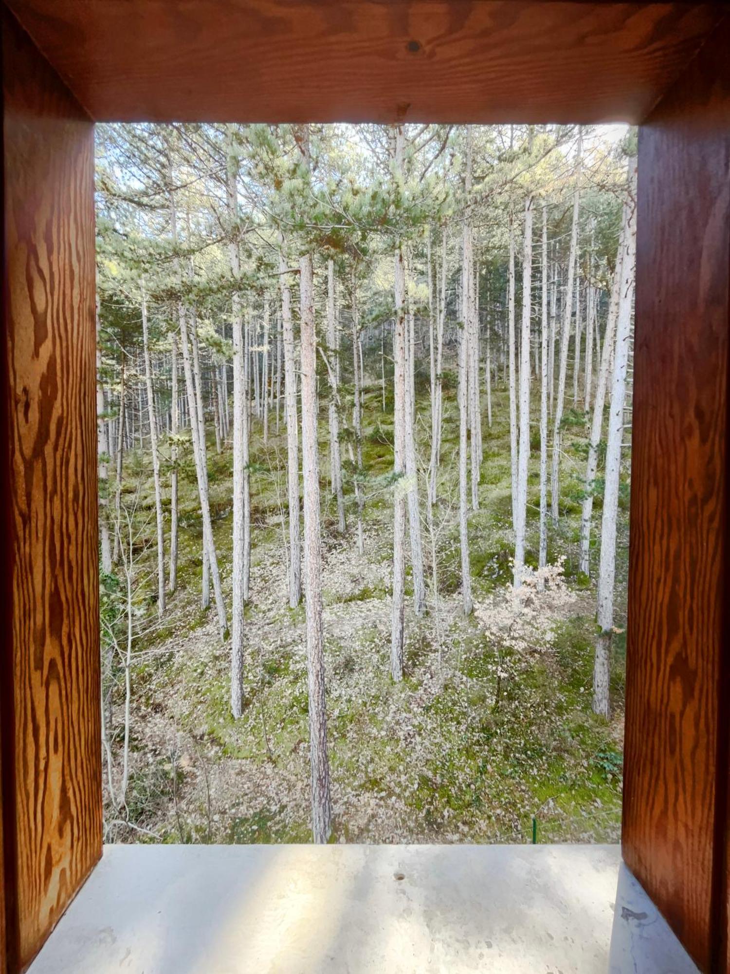 Hotel Garni Mille Pini Scanno Bagian luar foto